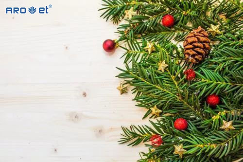 圣誕樹.jpg 圣誕樹.jpg